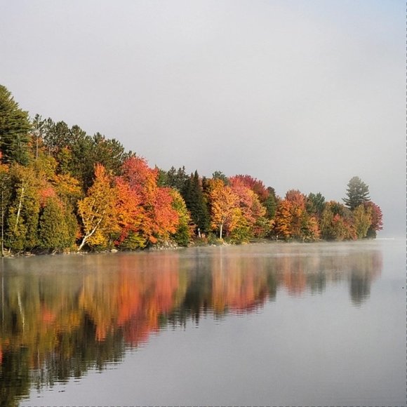 Meet your Posher, Kelly - Picture 7 of 9